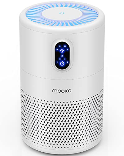 Best Air Purifier for Food And Kitchen Smells
