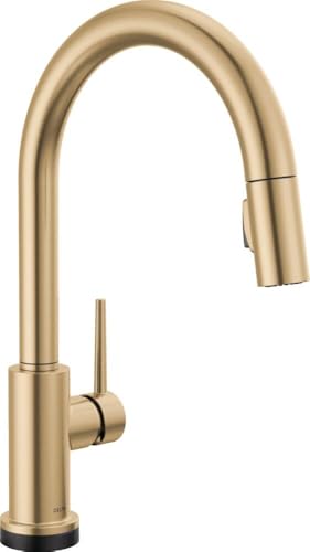 Best Champagne Bronze Kitchen Faucet