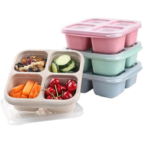Best Lunch Containers for Kids