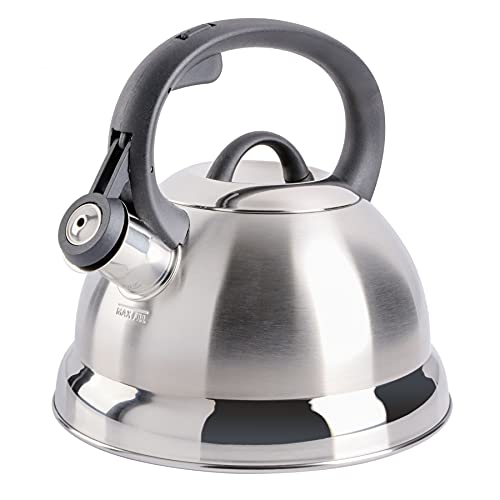 Best Stainless Steel Whistling Tea Kettle