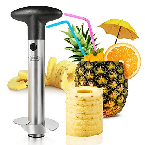 Best Pineapple Corer America'S Test Kitchen