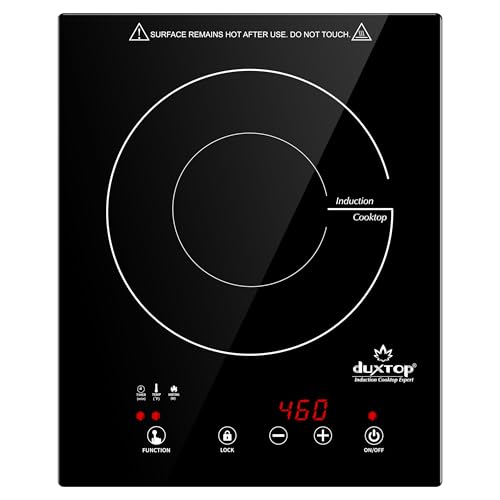 Best Induction Cooktop for Van Life