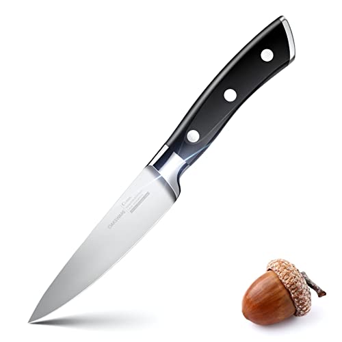 Best Kitchen Knives for Small Hands