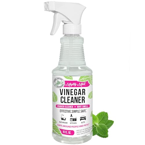 Best Spray Bottle for Vinegar