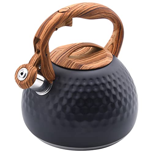 Best Tea Kettle for Wood Stove