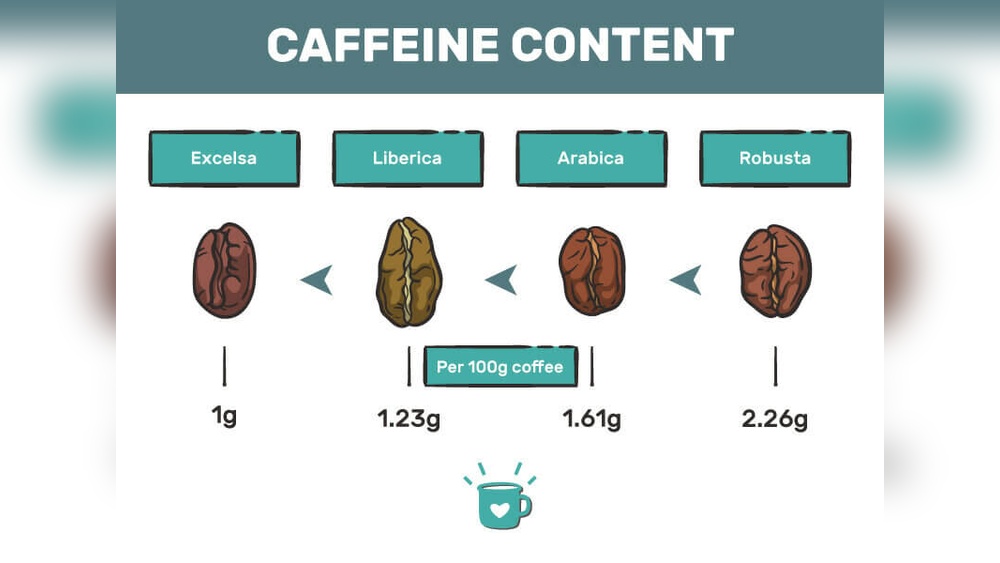 What Coffee Beans Have the Most Caffeine